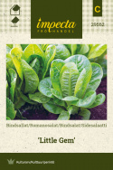 Sidesalaatti 'Little Gem'
