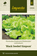 Lehtisalaatti 'Black Seeded Simpson'