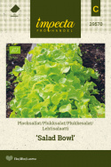 Tammenlehtisalaatti 'Salad Bowl'