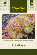 Bataviasalaatti 'Lollo Rossa'