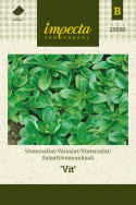 Salaattivuonankaali 'Vit'