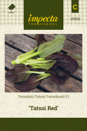 Tatsoikaali F1 'Tatsoi Red'