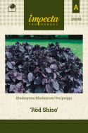 Veripeippi 'Röd Shiso'