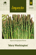 Parsa 'Mary Washington'