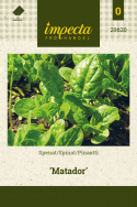 Pinaatti 'Matador'