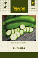 Kesäkurpitsa F1 'Keesha'