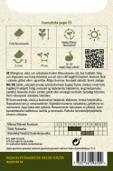 Kesäkurpitsa F1 'Keesha'