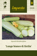 Kesäkurpitsa 'Lungo bianco di Sicilia'