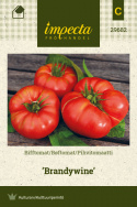 Pihvitomaatti 'Brandywine'