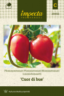 Luumutomaatti 'Cuor di bue'