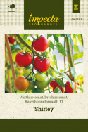 Kasvihuonetomaatti F1 'Shirley'