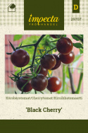 Kirsikkatomaatti 'Black Cherry'