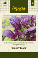 Sareptansinappi 'Bloody Mary'