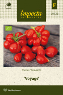 Tomaatti 'Voyage'