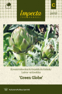 Latva-artisokka 'Green Globe'