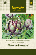 Latva-artisokka 'Violet de Provence'