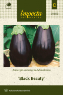 Munakoiso 'Black Beauty'