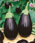 Munakoiso 'Black Beauty'