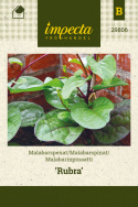 Malabarinpinaatti 'Rubra'