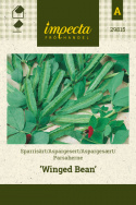 Parsaherne 'Winged Bean'