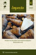 Mukulakirveli