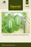 Viidakkokurkku