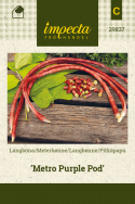 Pitkäpapu 'Metro Purple Pod'