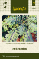 Lehtikaali 'Red Russian'
