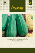Pesusienikurkku