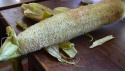 Pesusienikurkku