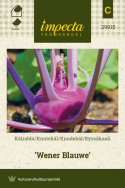 Kyssäkaali 'Wener Blauwe'