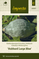 Jättikurpitsa 'Hubbard Large Blue'