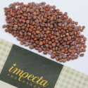 Retiisi 'Istap'