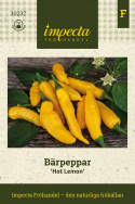 Marjapaprika 'Hot Lemon', n. 5-8 cm pitkiä ohuita hedelmiä, joissa kevyt makeus.