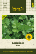 Korianteri 'Atlas', Rehevät tummanvihreät, hienolohkoiset lehdet, joilla on aromaattinen maku.