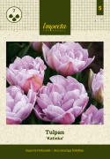 Tarhatulppaani 'Katinka' 7 kpl, Ihastuttava, täyskerrannainen tulppaani, jonka suuret kukat ovat viileän lilan ja vanhan vaaleanpunaisen sävyisiä.