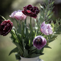 Tarhatulppaani 'Katinka' 7 kpl, Ihastuttava, täyskerrannainen tulppaani, jonka suuret kukat ovat viileän lilan ja vanhan vaaleanpunaisen sävyisiä.