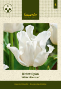 Tarhatulppaani 'White Liberstar' 5 kpl, Ainutlaatuinen kruununmuotoinen tulppaani, jonka väri on puhtaan valkoinen. 