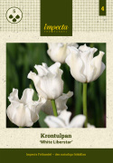 Tarhatulppaani 'White Liberstar' 5 kpl, Ainutlaatuinen kruununmuotoinen tulppaani, jonka väri on puhtaan valkoinen. 