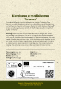 Vihkotasetti 'Geranium' 5 kpl, Ihastuttavan tuoksuinen valkoinen narsissi, jonka torvi on keltaoranssi.