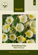 Virvanarsissi 'White Petticoat' 5 kpl, Söpö matalakasvuinen narsissi, jolla on suppilonmuotoiset valkoiset kukat, jotka muistuttavat hentoa alushametta.