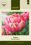 Tulppaani 'Renown Unique' 5 stk,  vaalean kirsikanpunaiset, täysin taianomaiset kukat.