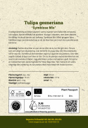 Tarhatulppaani 'Symbiose Mix' 15 kpl, Sekoitus kerrottuja tulppaaneita lämpimissä väreissä, kuten vadelmanpunainen, terrakotta ja auringonkeltainen.