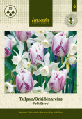 Tulppaani/orkideanarsissi 'Folk Story' 15 stk