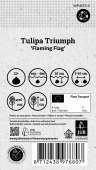 Triumftulppaani 'Flaming Flag' 80 kpl