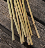 Bambukepit 75 cm 10 kpl