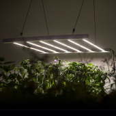 110 x 110 cm / 480 W LED-valaisin kasvihuoneeseen