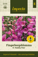 Ruskosormustinkukka F1 'Bubbly Pink', Hieno, kookas laji. Lämpimänkeltaiset, suuret kukat, joissa on tummia kuvioita.