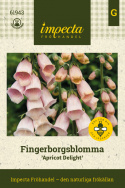 Ruskosormustinkukka 'Apricot Delight', Hieno elementti romanttisessa kukkapenkissä sekä suuremmissa istutuksissa.