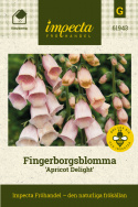 Ruskosormustinkukka 'Apricot Delight', Hieno elementti romanttisessa kukkapenkissä sekä suuremmissa istutuksissa.